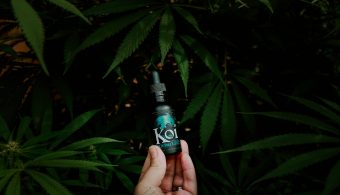 CBD for Beginners: Everything You Need to Know Before You Start