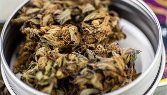 Why Locally Grown CBD in Chattanooga Makes a Difference